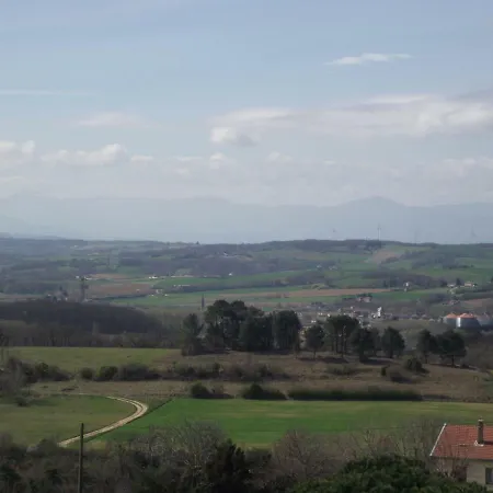 Domaine Des Cigales, Les Cedres *
