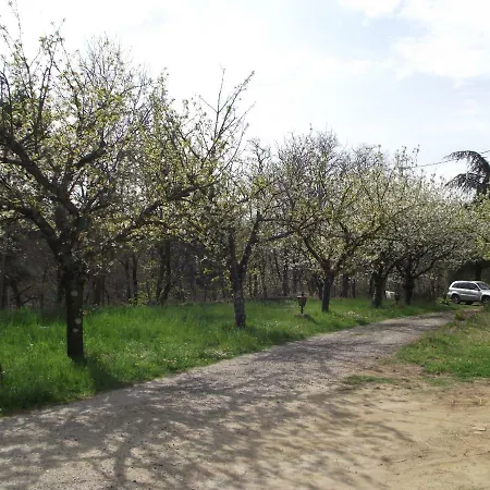 Domaine Des Cigales, Les Cedres